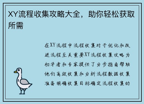 XY流程收集攻略大全，助你轻松获取所需